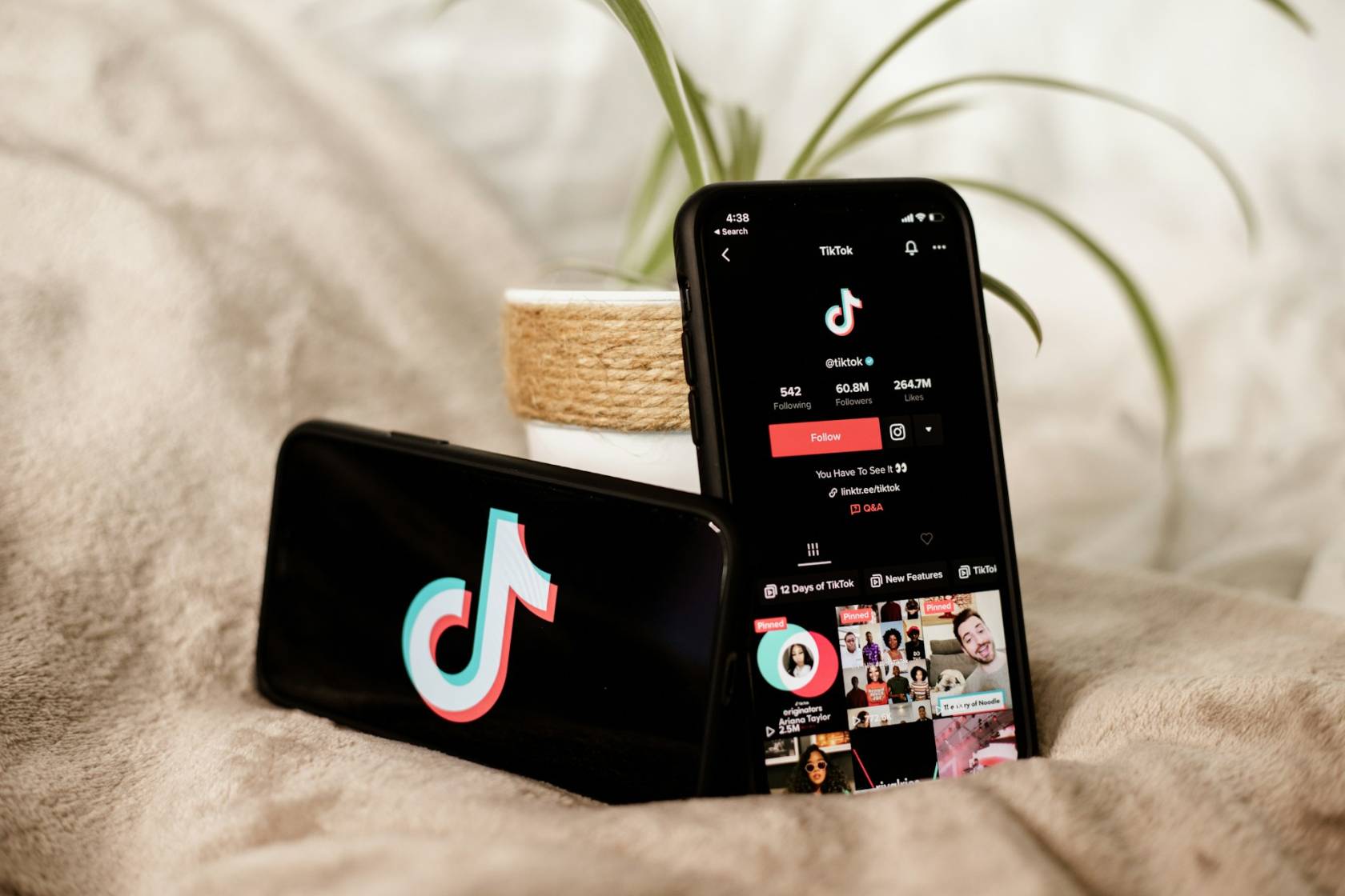 "Screenshot of TikTok app showing profile settings menu with option to change username"